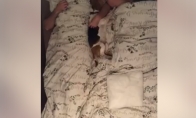 Neramus miegas su šuniu