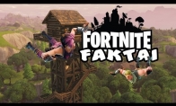 Įdomūs faktai apie Fortnite