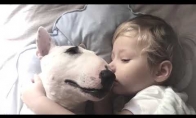 Berniukas ir šuo miega kartu