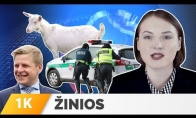 Kraupus kriminalas Lietuvoje, atviras ožiuko interviu