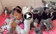 Moteris lovoje su daugybe kačių