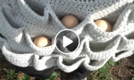 Apranga kiaušiniams rinkti