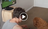 Vaikinas išmoko savo šunį žaisti Minecraftą