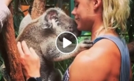 Koala apsikabina merginą